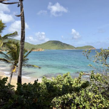 carlisle bay