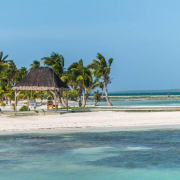 belize american airlines daily