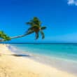 all-inclusive samana wyndham