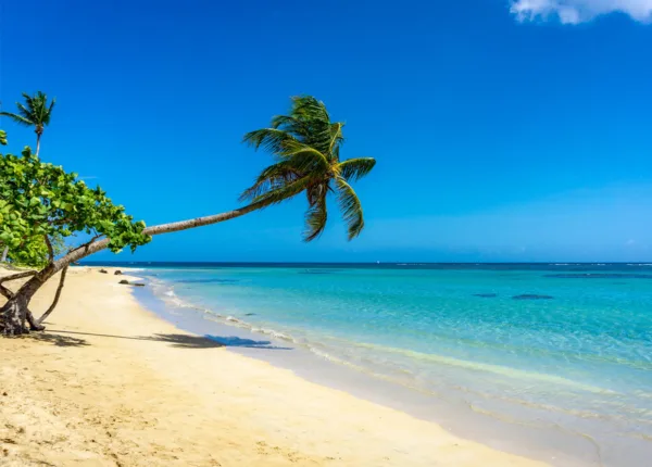 all-inclusive samana wyndham