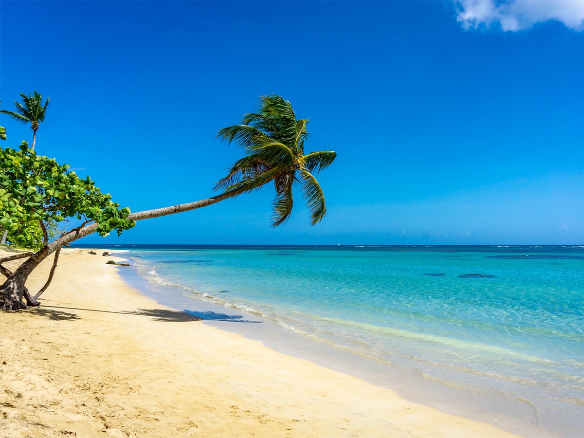 all-inclusive samana wyndham