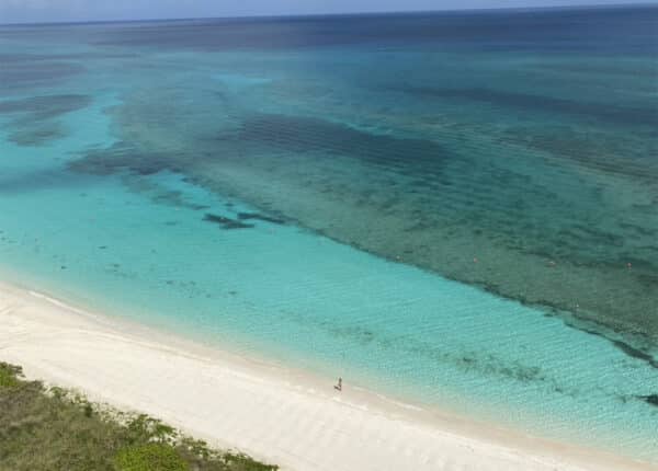 walking on the beach in nassau