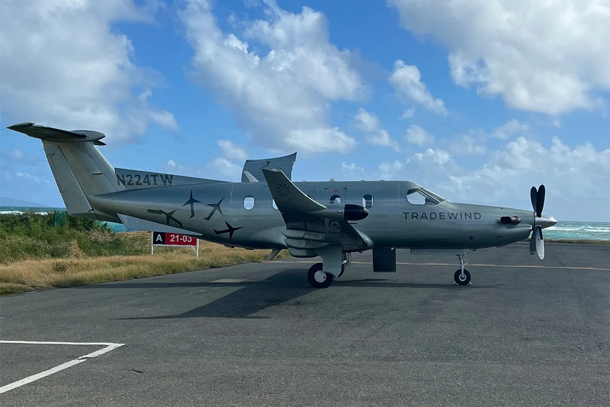 british virgin islands virgin goda