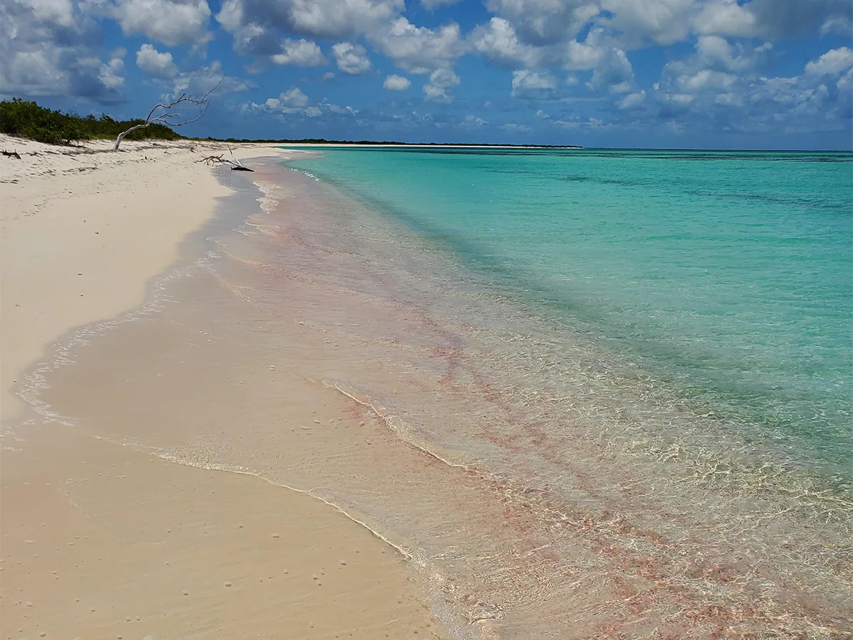 barbuda caribbean