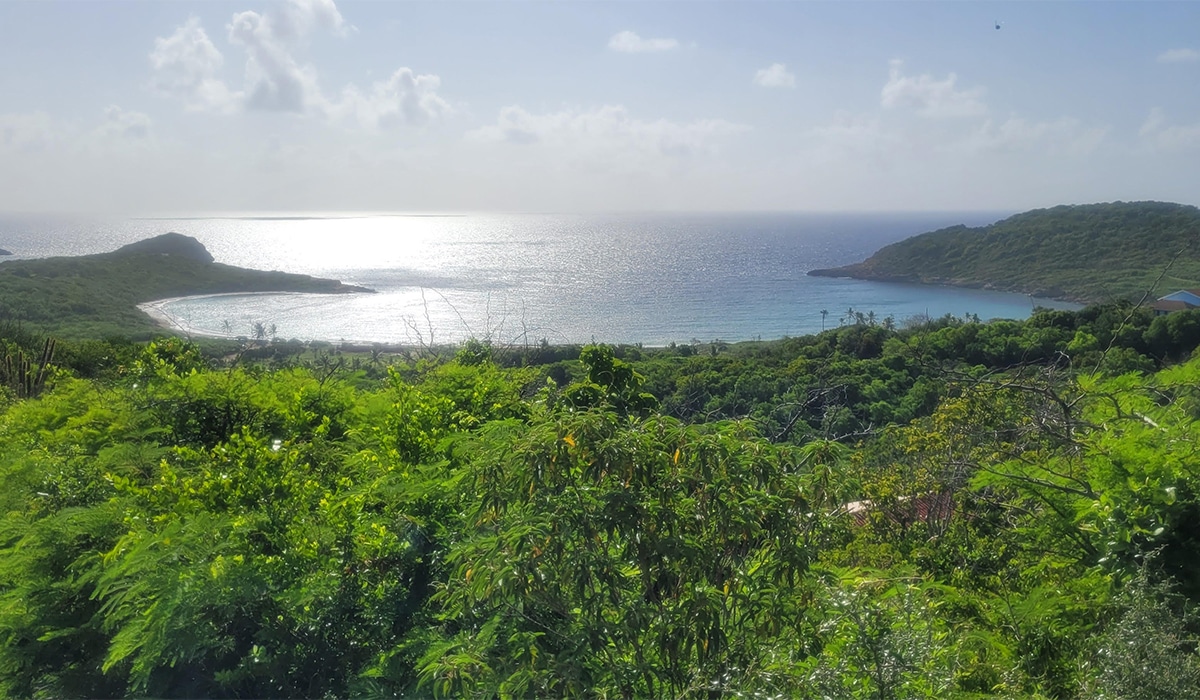 caribbean photo antigua