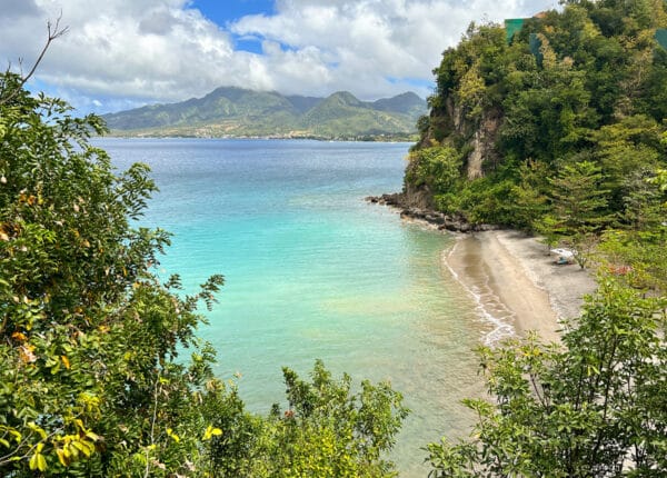 dominica secret bay