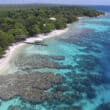 caribbean coastline of honduras with beach