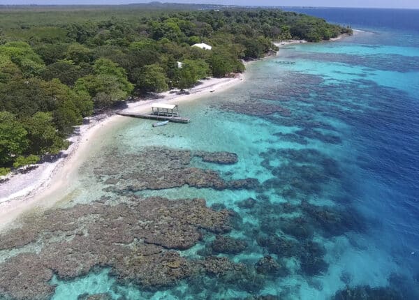 caribbean coastline of honduras with beach