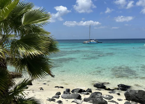 aruba on the beach rocks