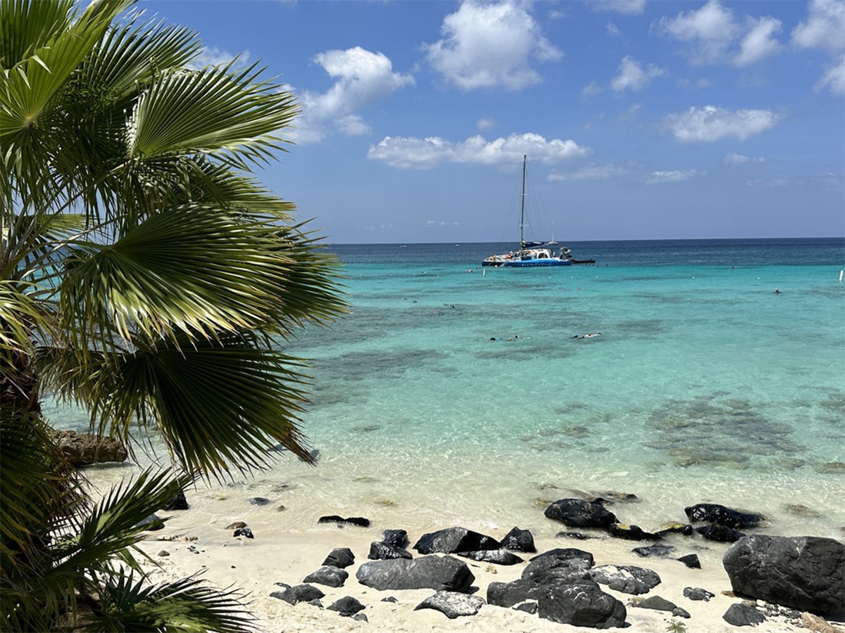 aruba on the beach rocks