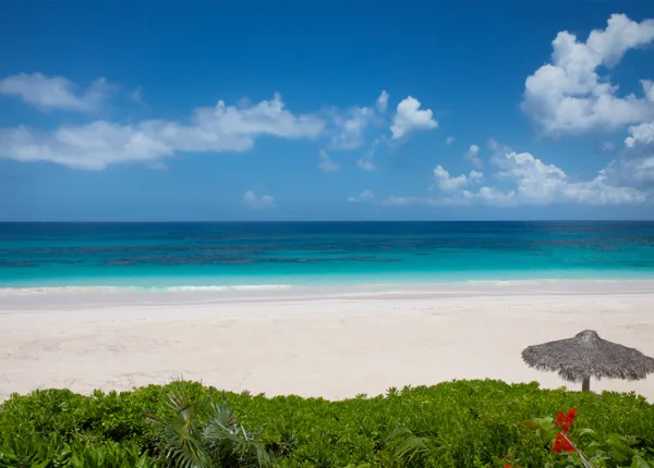 pink sand beach