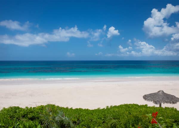 pink sand beach