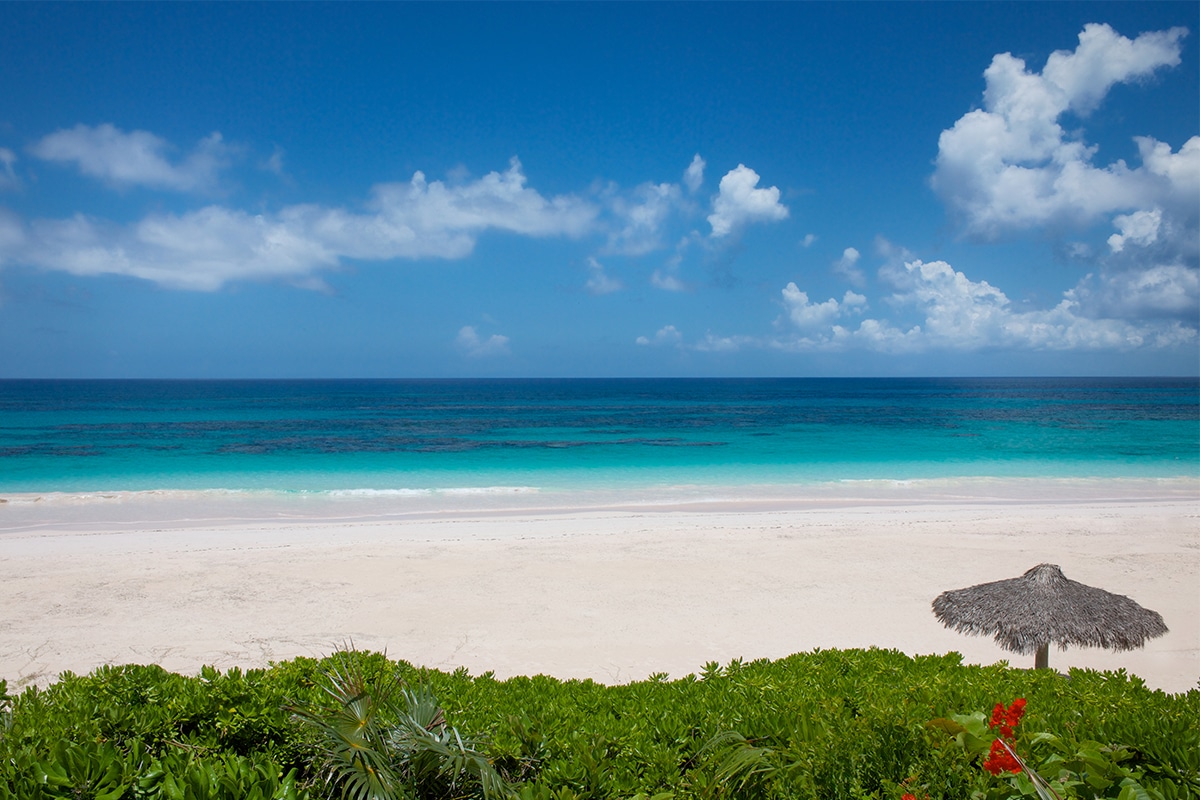 pink sand beach
