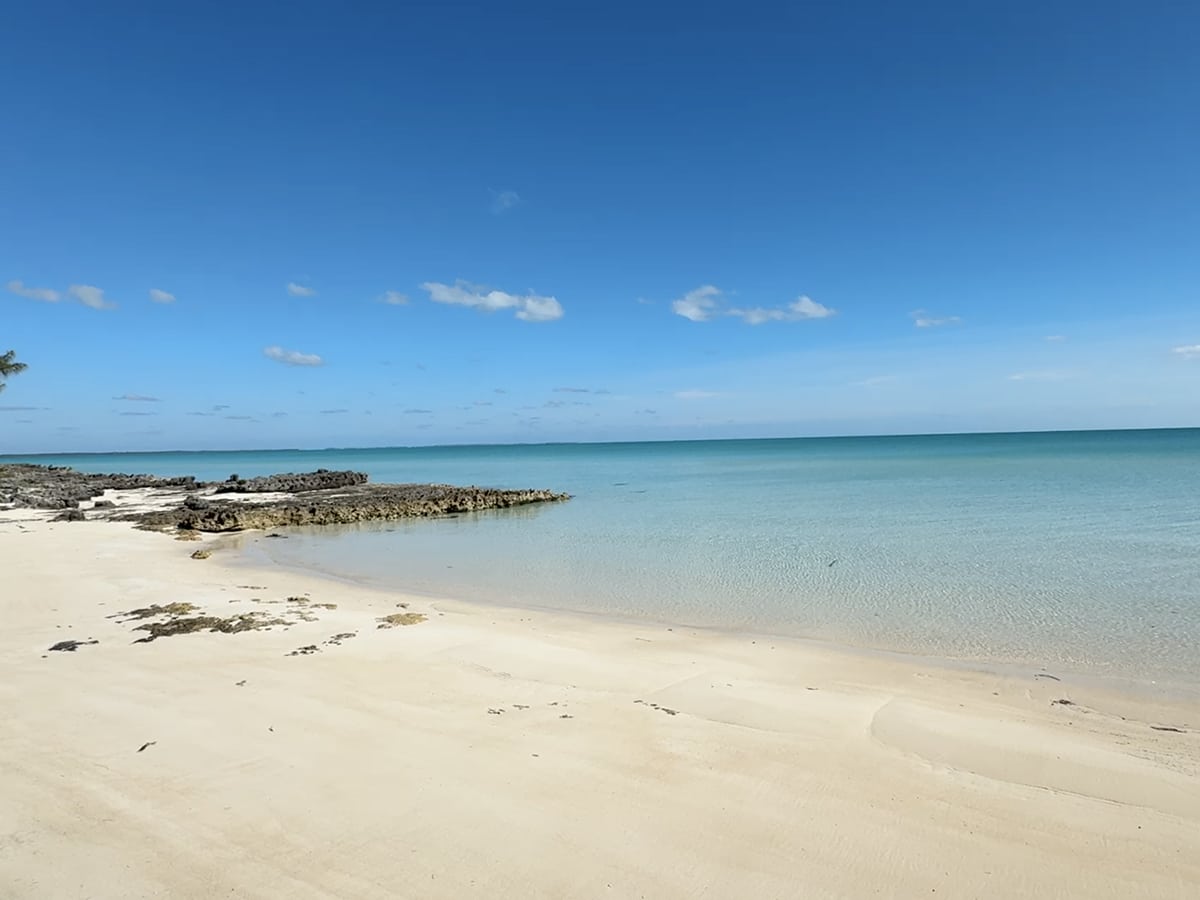 davis beach in eleuthera