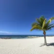 a beach in montego bay, jamaica