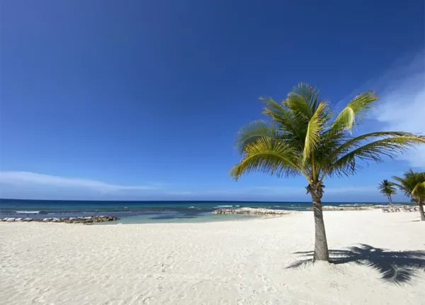 a beach in montego bay, jamaica