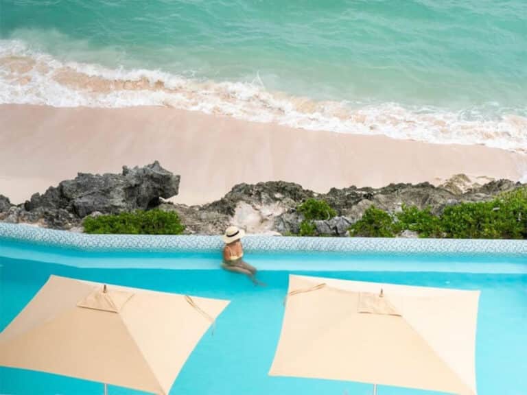 Bermuda Names Jan Hutton Its New CEO as Travel Push Enters New Phase
