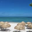 palapas on the beach with white sand and blue water