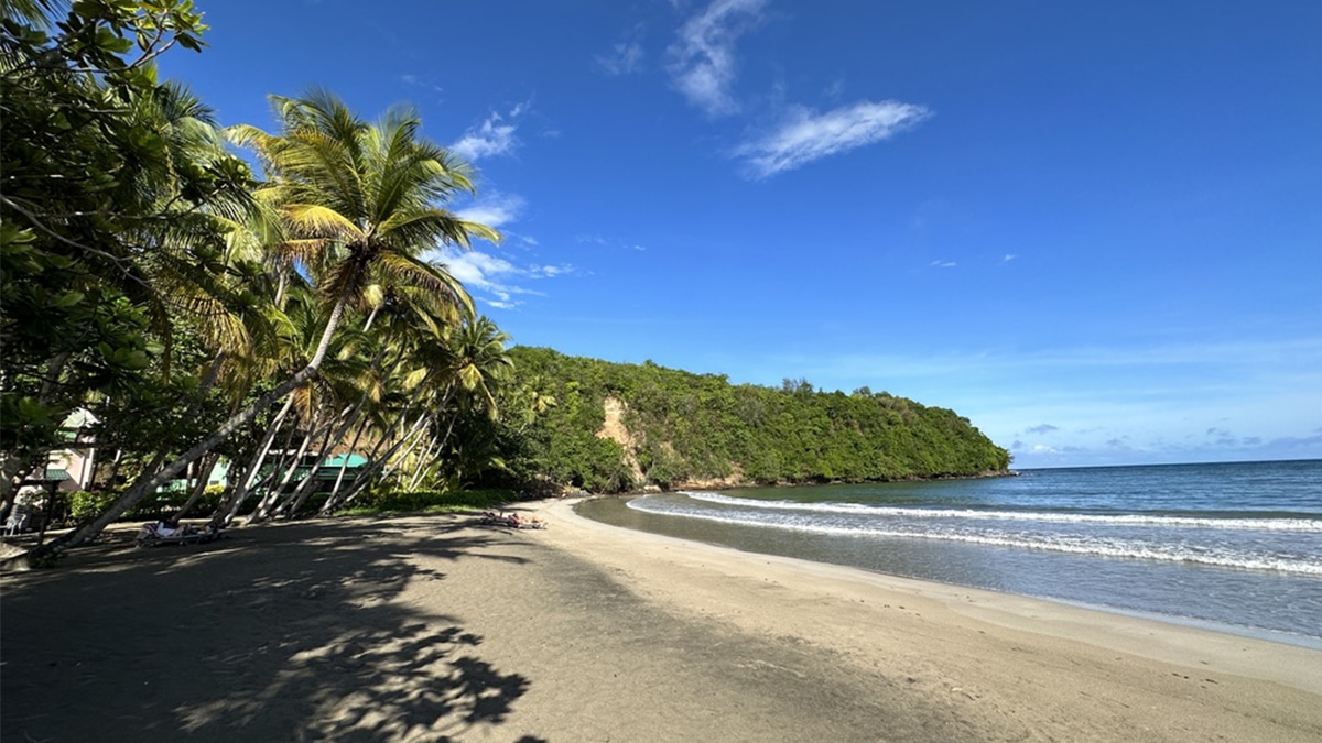 grenada beach