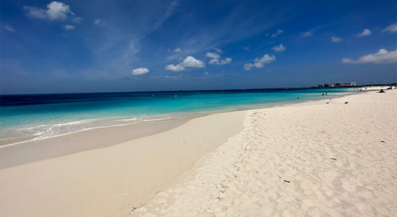 the best aruba beaches