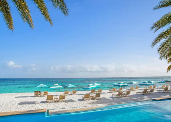 the beach on Shoal Bay with palm trees