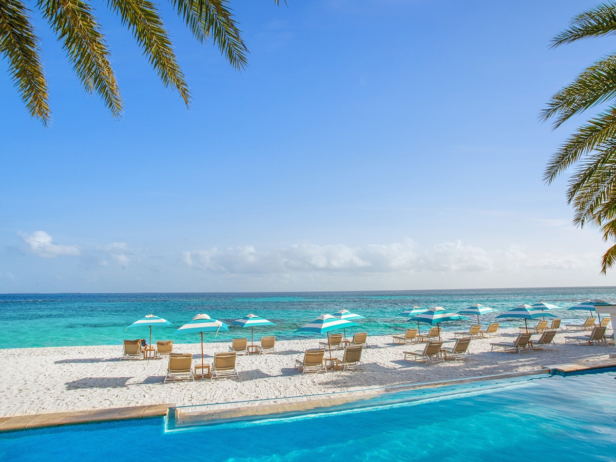 the beach on Shoal Bay with palm trees