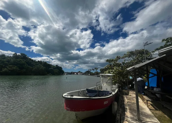 jamaica photo caribbean black river