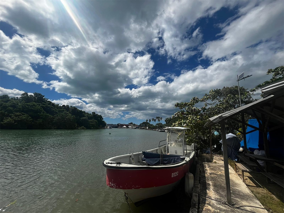 Caribbean Photo of the Week Black River, Jamaica