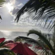 speightstown barbados with red umbrellas