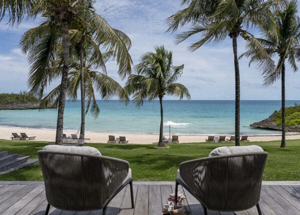 eleuthera cove palm trees