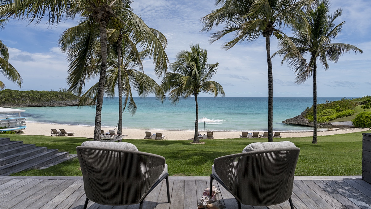 eleuthera cove palm trees