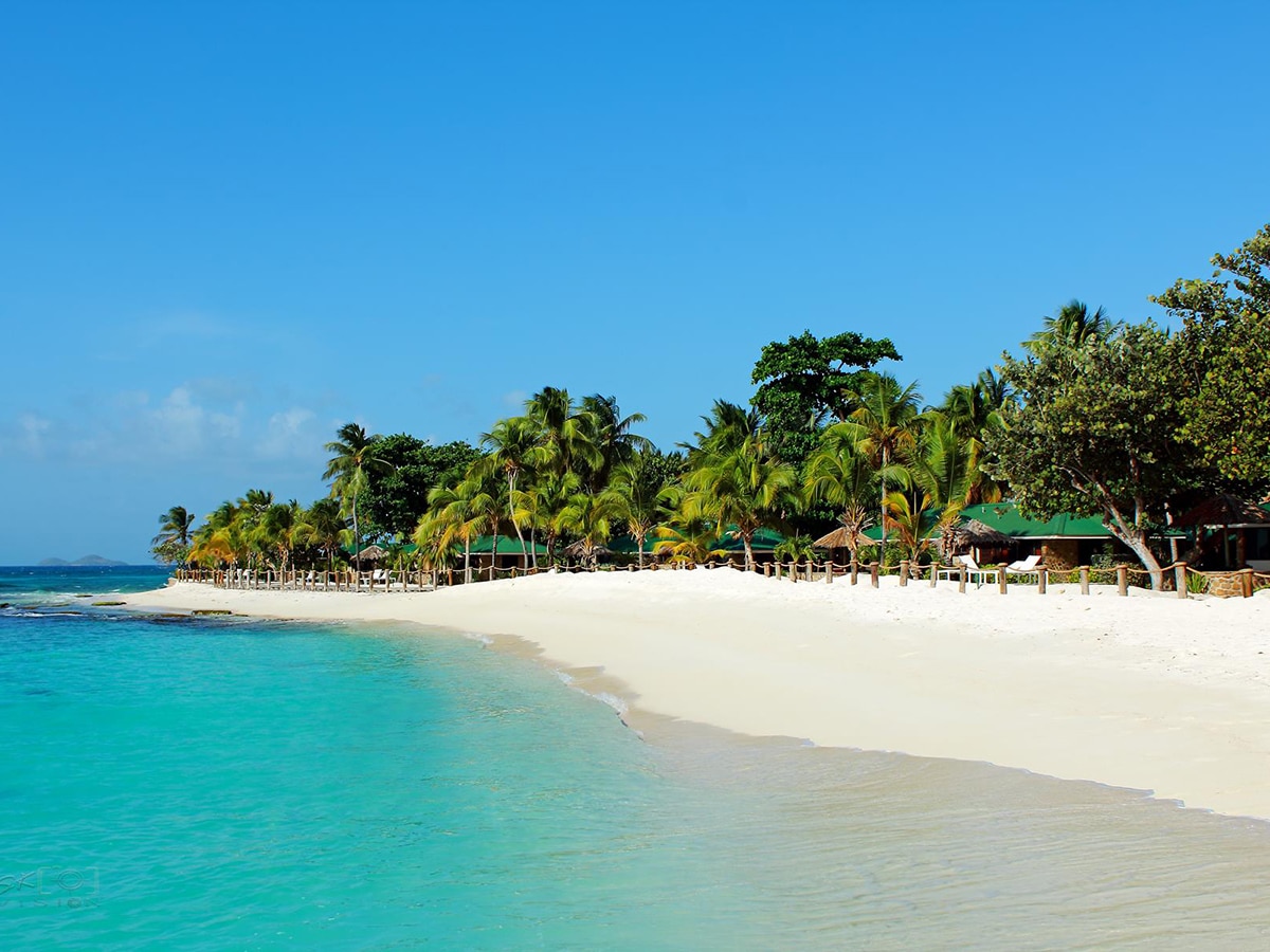 grenadines private island