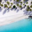 blue beach with palm trees