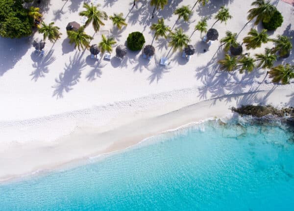 blue beach with palm trees