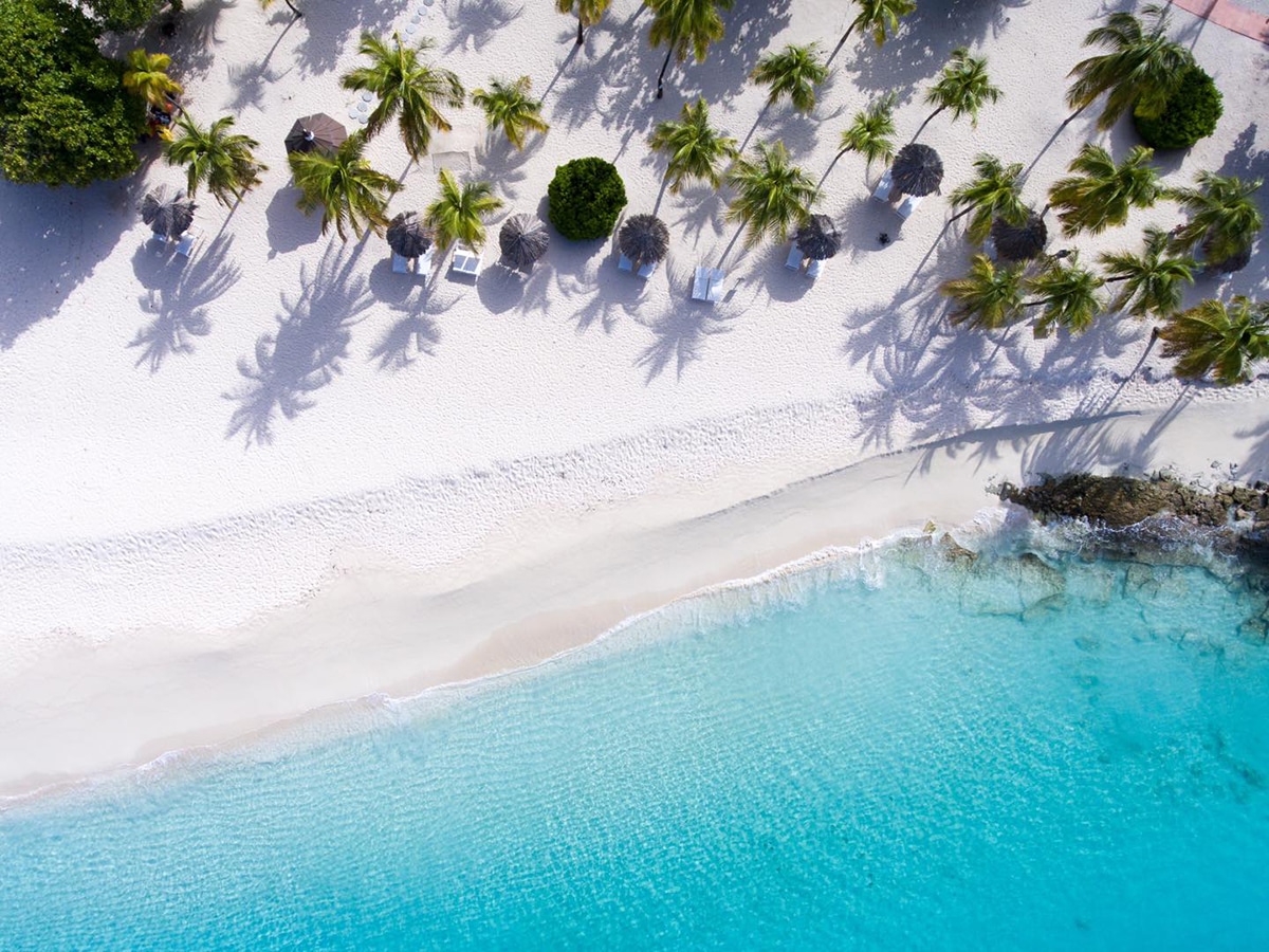 blue beach with palm trees