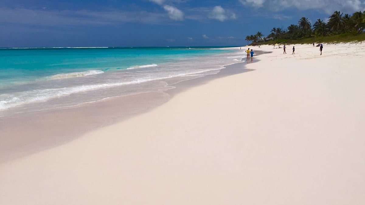 pink sand beach