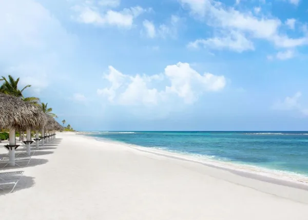 american airlines beach with brush and blue sky