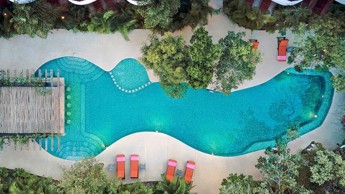 kimpton tulum pool with trees and chairs