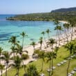 punta cana dominican republic trees with beach