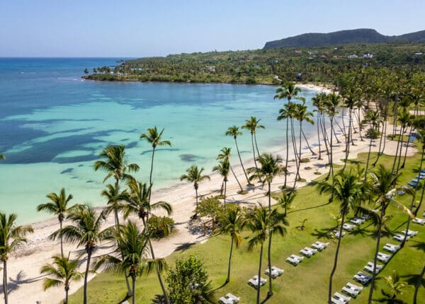 punta cana dominican republic trees with beach