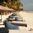 beach chairs on the sand with palapas