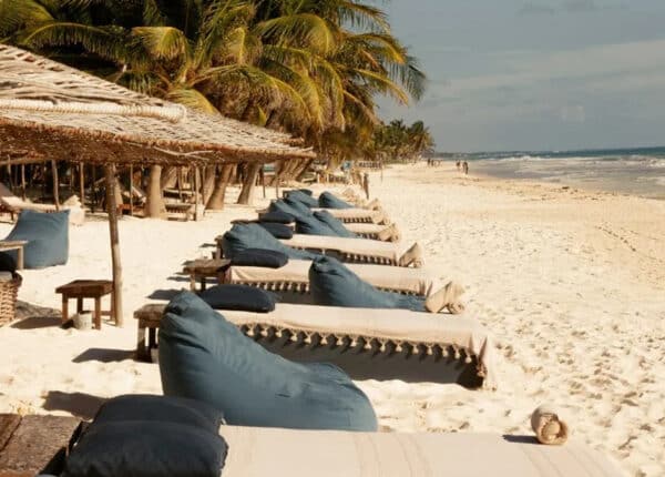 beach chairs on the sand with palapas