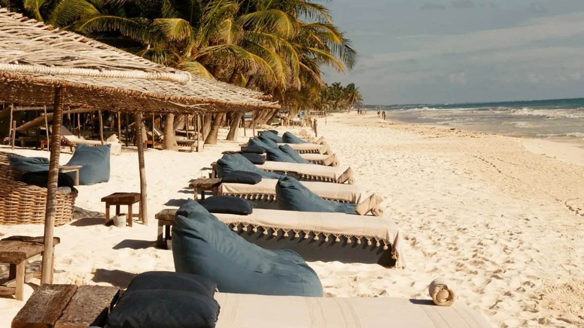 beach chairs on the sand with palapas