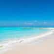grace bay beach in turks and caicos