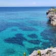 negril blue water next to cliffs