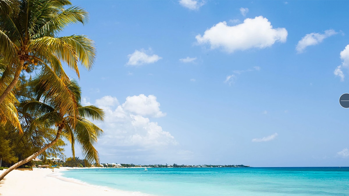 seven mile beach with palm tree