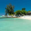 beach with palm trees at new wyndham