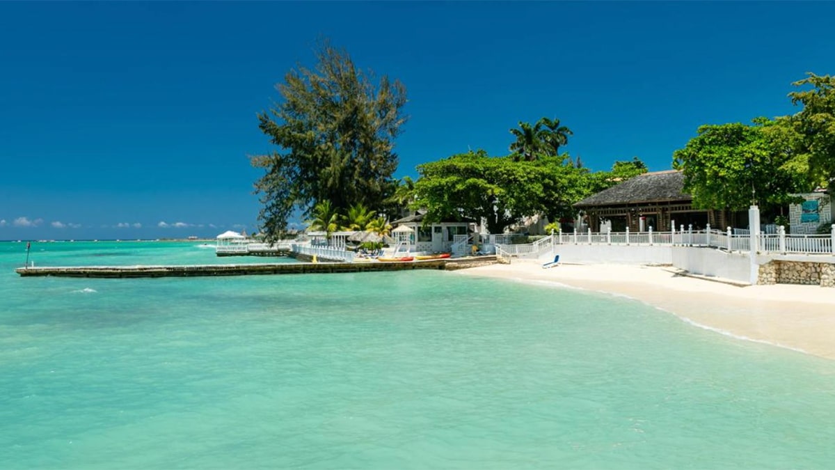 beach with palm trees at new wyndham