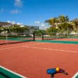 antigua pickleball