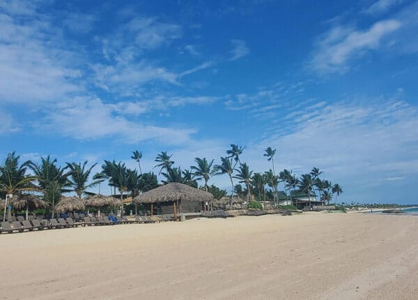 punta cana beach with palm trees